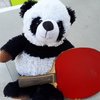 PO❤🐼