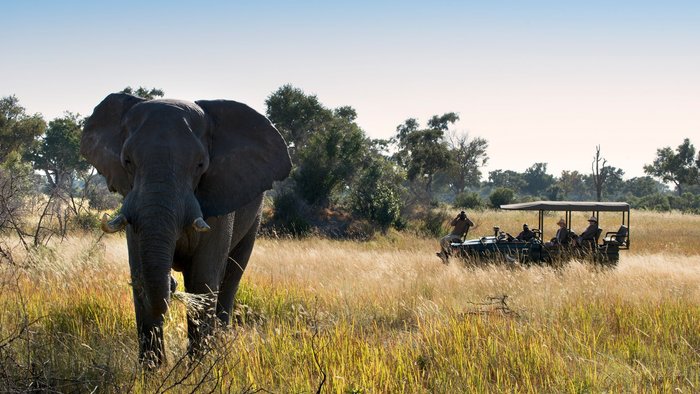 Andbeyond Xaranna Okavango Delta Camp Bar or Lounge: Pictures & Reviews ...