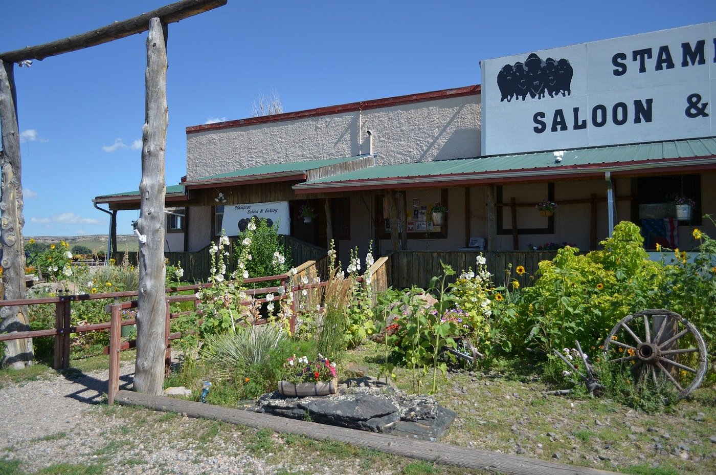 THE DIAMOND RANCH Reviews (Chugwater, WY)