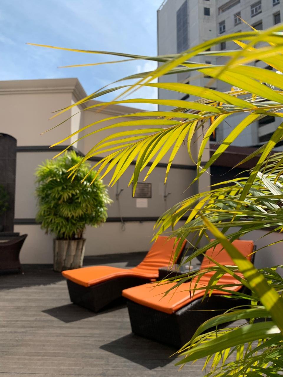 Hotel photo 10 of Swiss-Belhotel Borneo Samarinda.