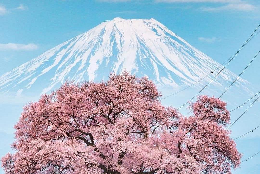 JP TOURS (Shinjuku) Ce qu'il faut savoir pour votre visite (avec