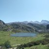 fiadordecuarta