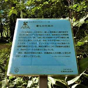 21年 札幌市で絶対外さないおすすめ観光スポットトップ10 定番から穴場まで トリップアドバイザー 21年 札幌市で絶対外さないおすすめ観光スポットトップ10 定番から穴場まで トリップアドバイザー