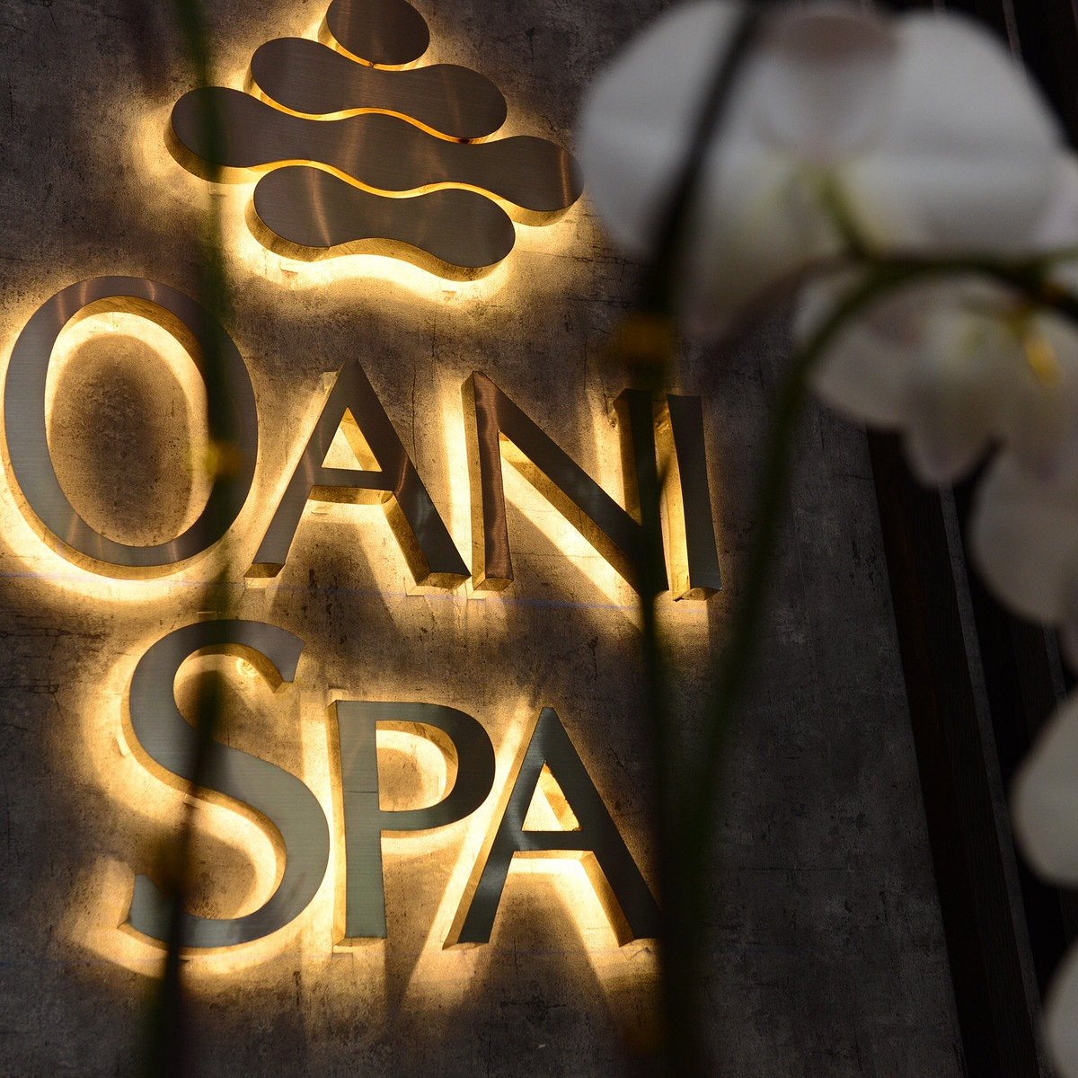 Oani Spa (Da Nang) - All You Need to Know BEFORE You Go