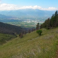 Colle delle vacche