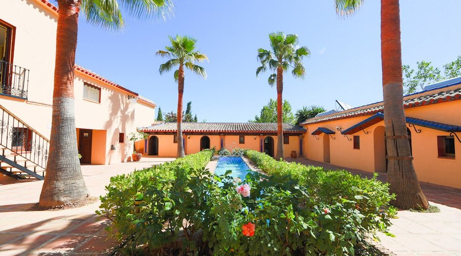 Patio interior 
