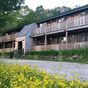 The flowers are out all summer long! This photo was from 2018, and the flowers are even MORE prolific this year.