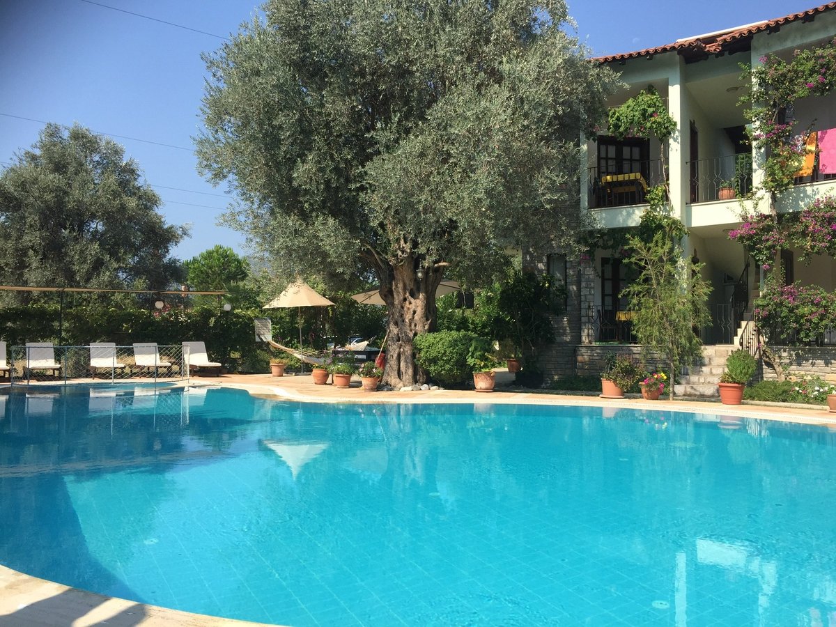 OLIVE GARDEN APART OTEL - Updated 2024 Prices & Hotel Reviews (Gocek ...