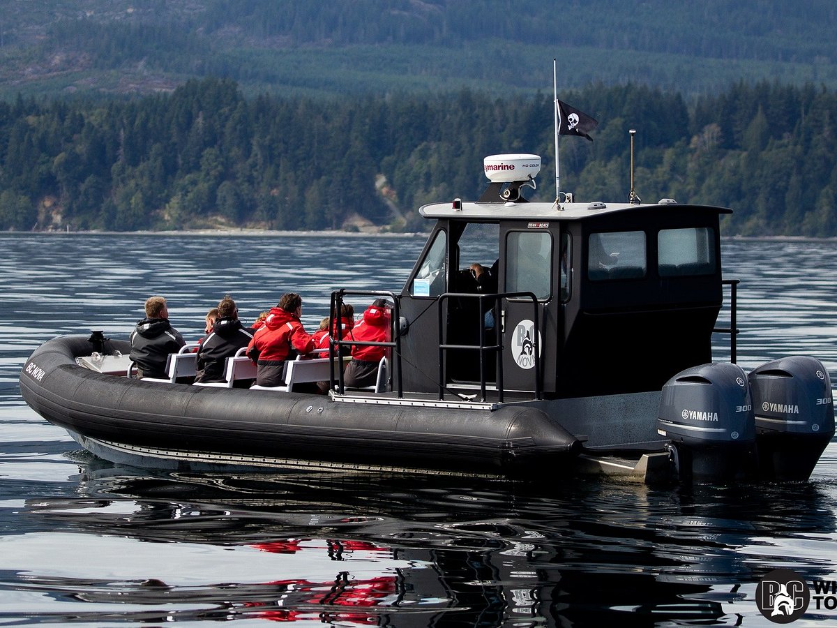 bc whale tours reviews