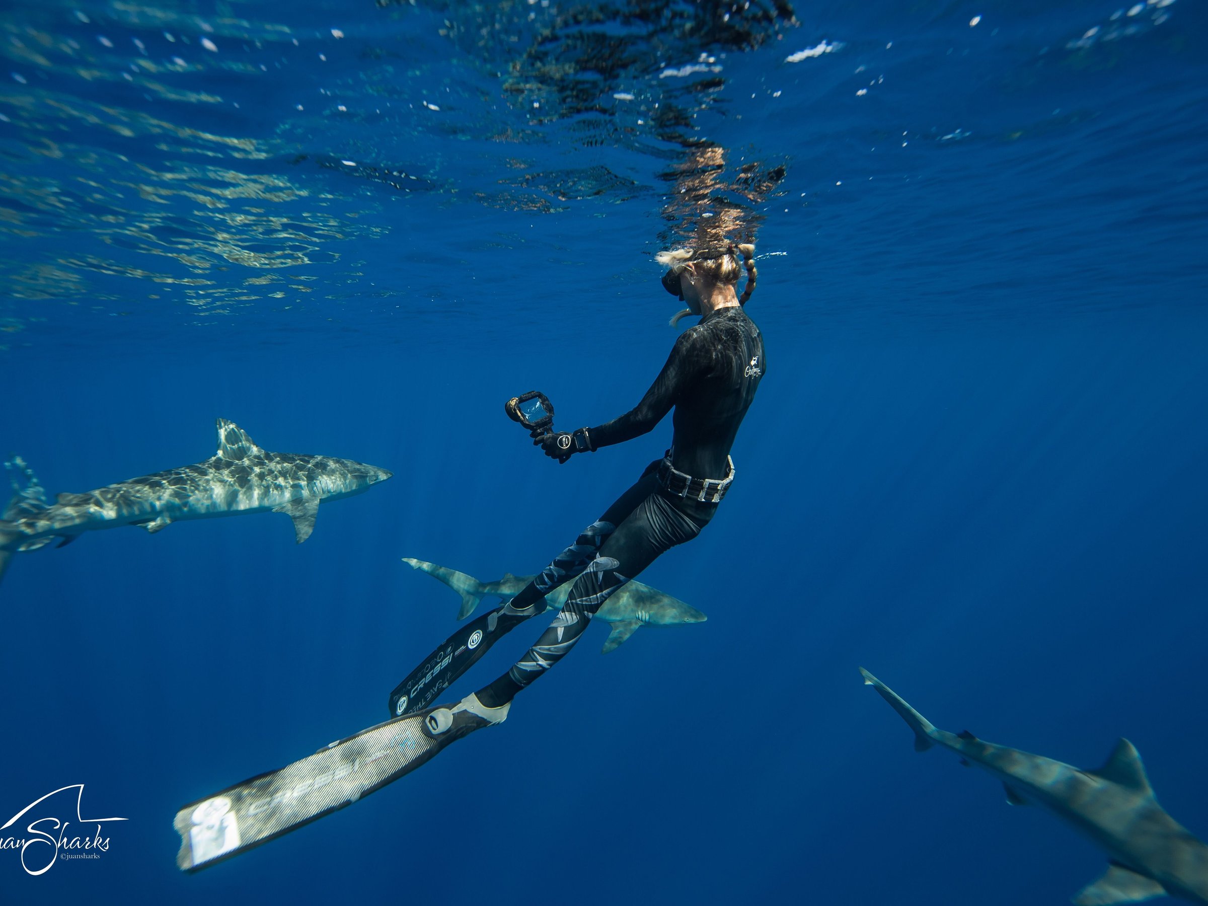 One Ocean Diving - All You Need to Know BEFORE You Go (2024)