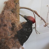 Выставочные залы