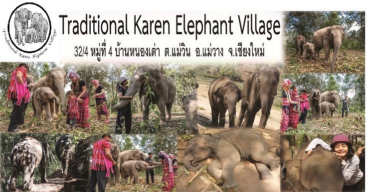 Traditional Karen Elephant Village image