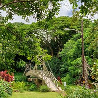 Kapaia Suspension Bridge