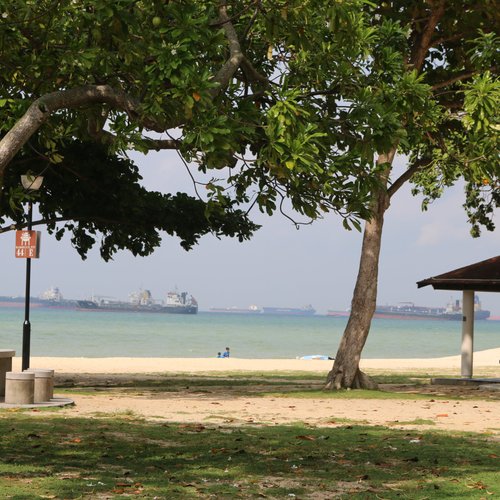 EAST COAST PARK All You Need to Know BEFORE You Go (with Photos) photo image