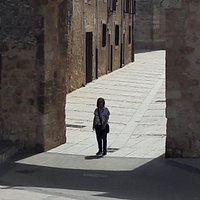 Murallas y Arco entrada