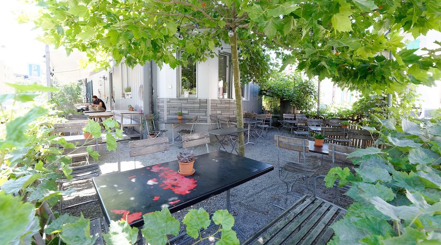 Nachbarsgarten