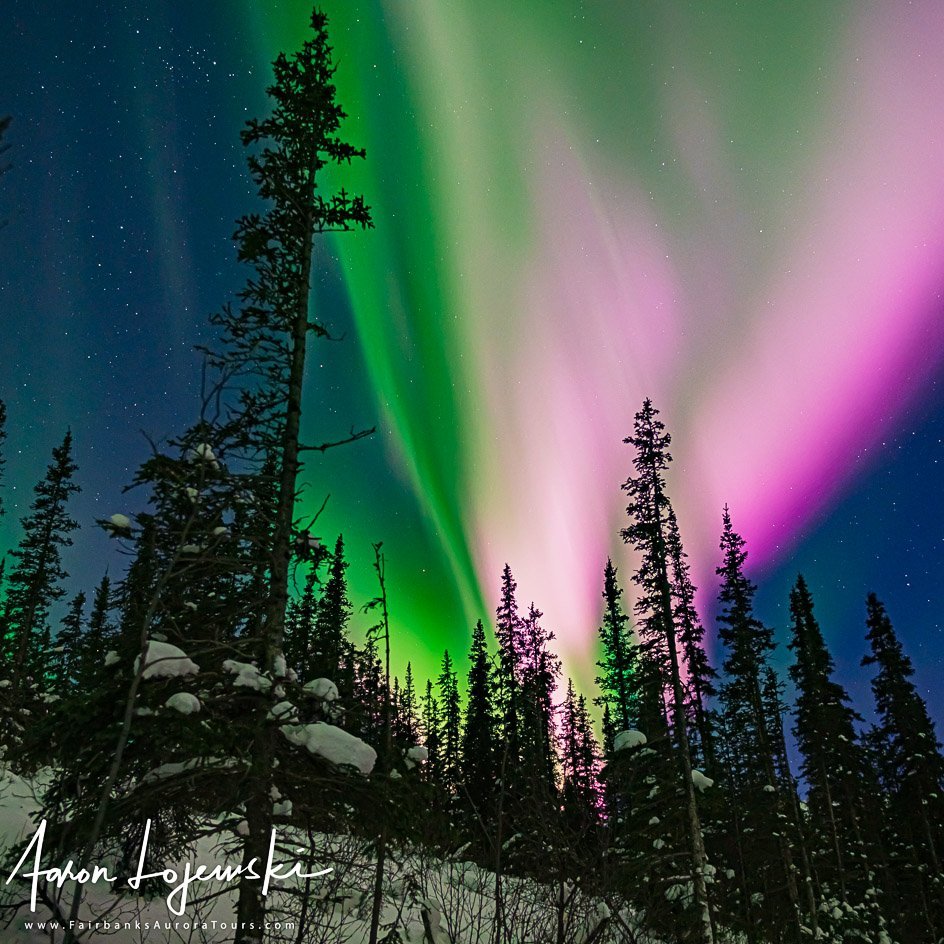 FAIRBANKS AURORA TOURS 2022 tutto quello che c'è da sapere