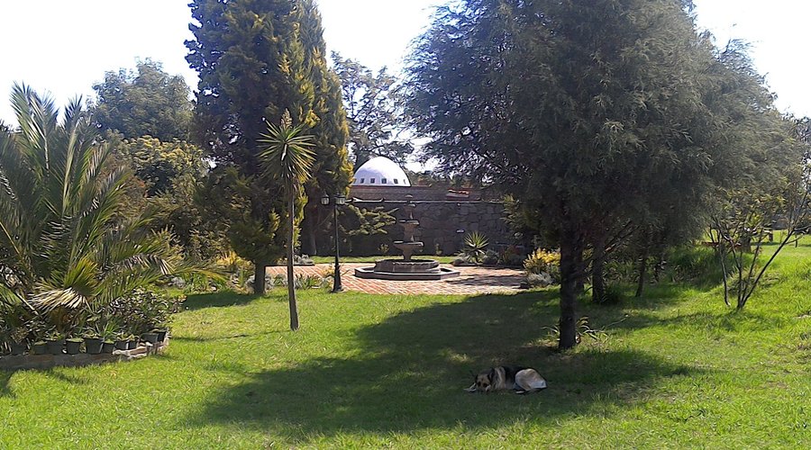 summer gardens