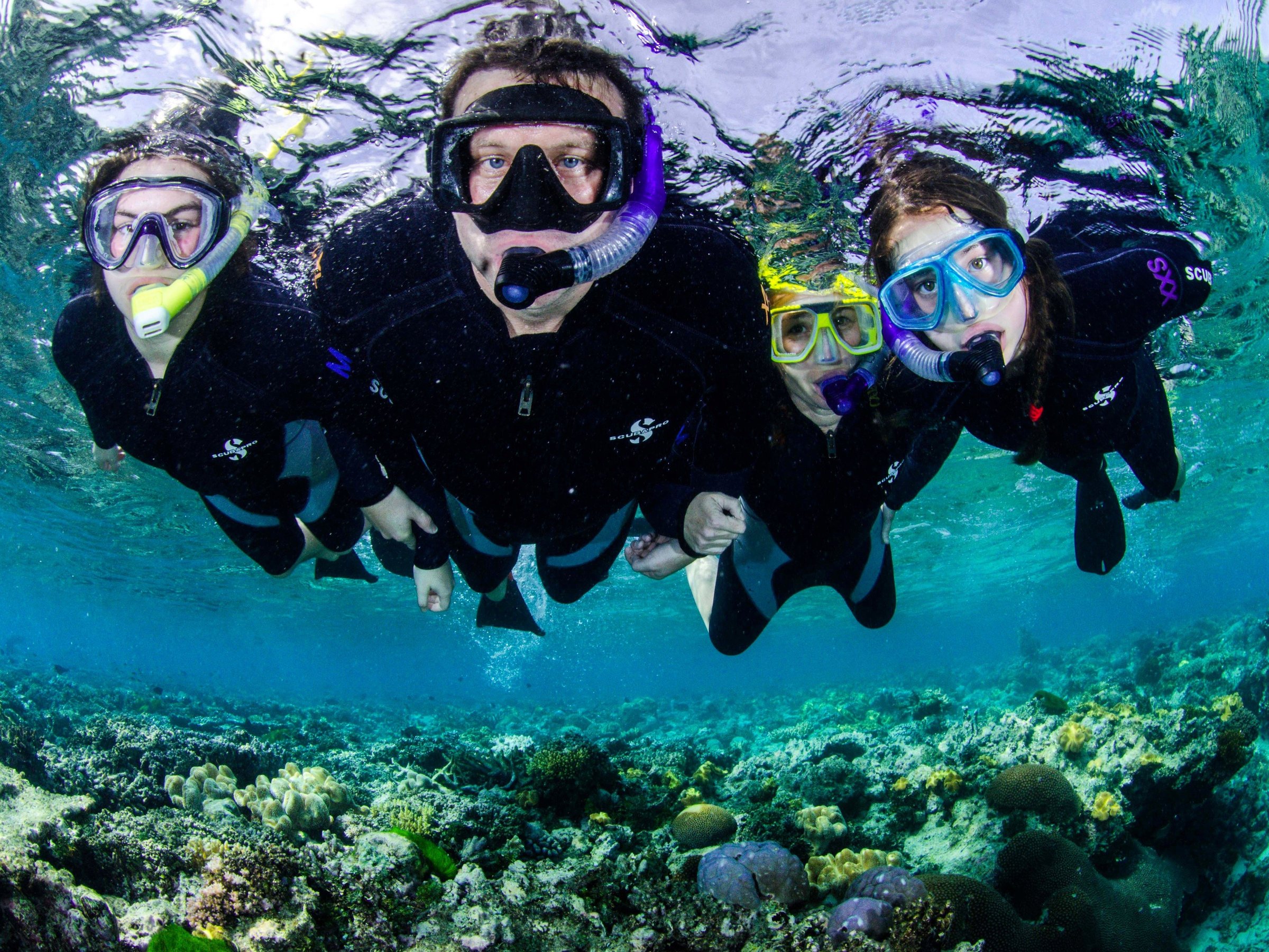 Abc Snorkel Charters (Port Douglas) - All You Need to Know BEFORE You Go