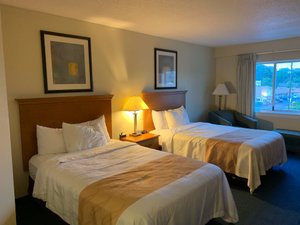 Room & Suite