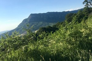 Oda ve Süit