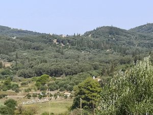 Δωμάτιο και σουίτα