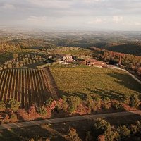 Aerial View of Podere Collalto Vineyards and Winery