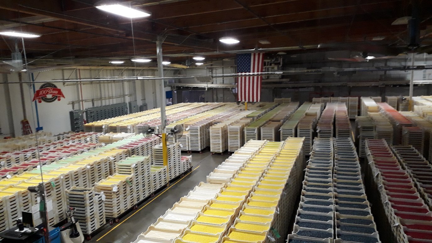 Jelly Belly Factory Tour (Fairfield) All You Need to Know