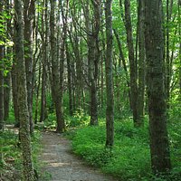 This ADA-accessible loop trail is in the Fels-Grove Farm Preserve in Yarmouth, Maine.