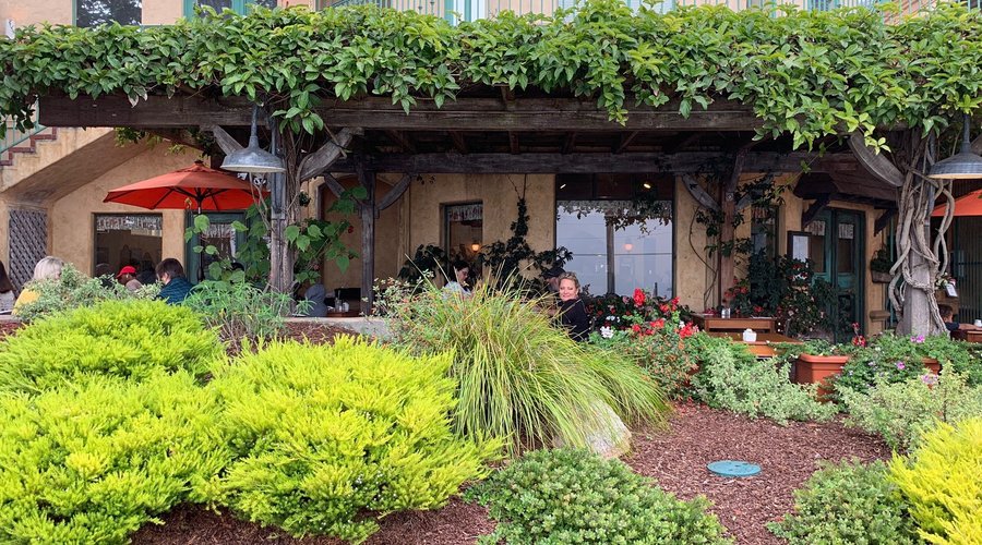 Wave Street Cafe