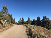 BLACKTAIL PLATEAU DRIVE (Yellowstone National Park) - All You Need to ...