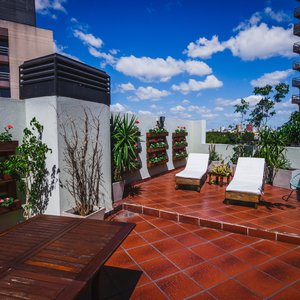 Terraza / Solarium