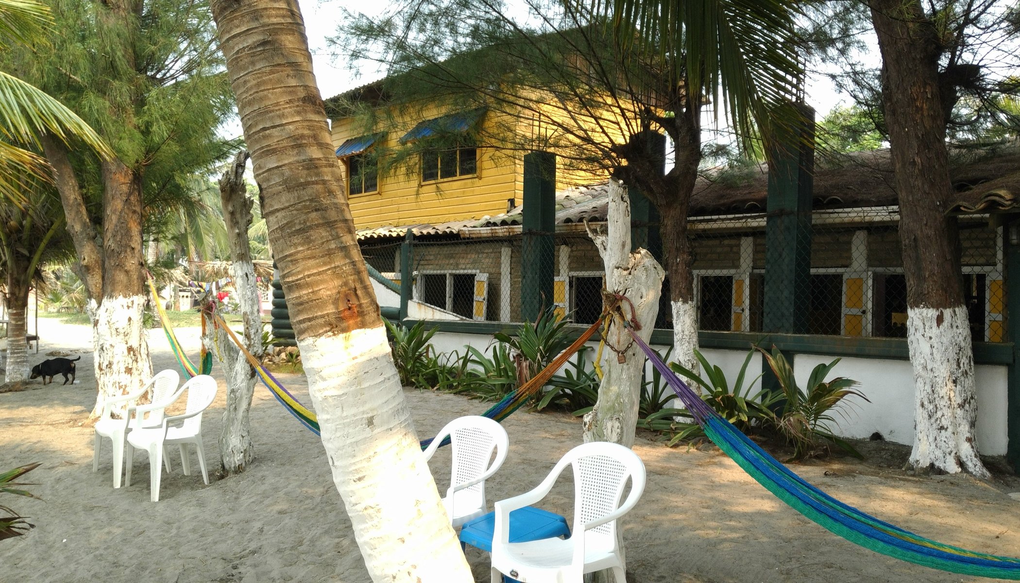 Caribbean Coral Inn Tela image