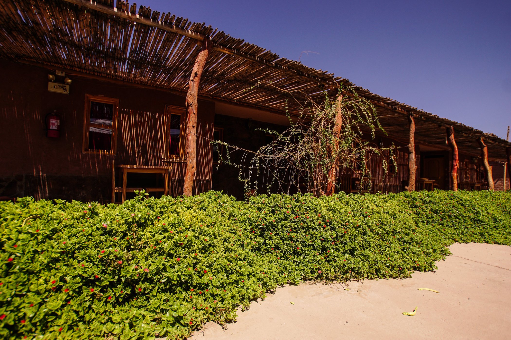 Casa Lickana B&B by null