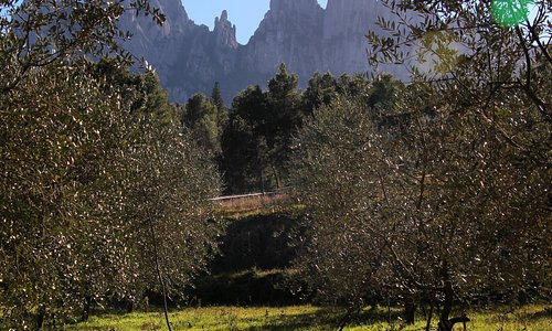 Alrededor de la población de Marganell existe una bonita ruta senderista donde podemos disfrutar de unas preciosas vistas a Montserrat y veremos varías ermitas románicas. Muy fácil, idea para hacer en familia. 