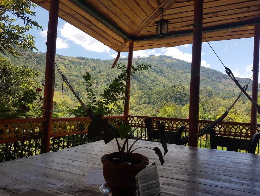 Ayahuasca Casa Artística by null