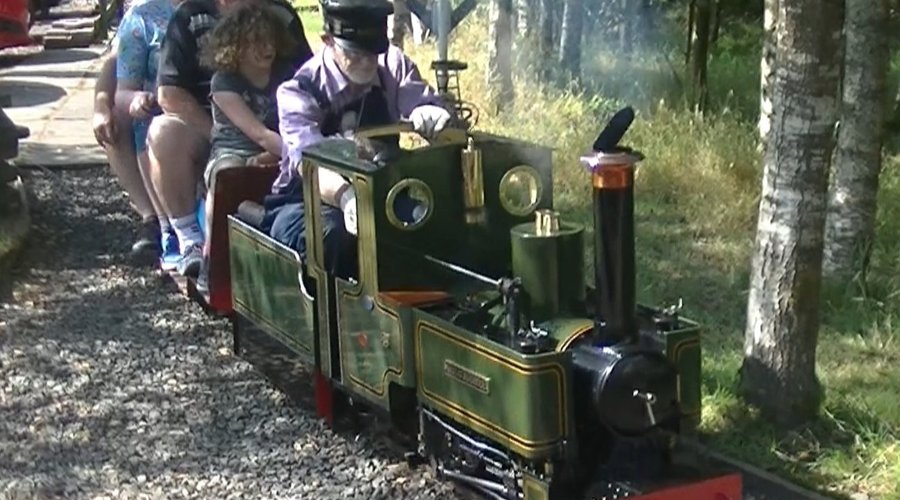 One of the Many Steam trains at Wester Pickston open day