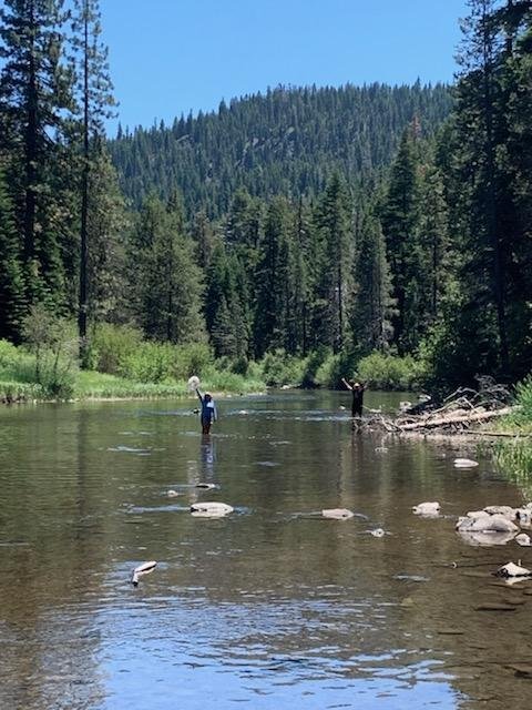 Alder Creek Campground At Tahoe Donner Truckee CalifÓrnia Avaliações Tripadvisor 7796