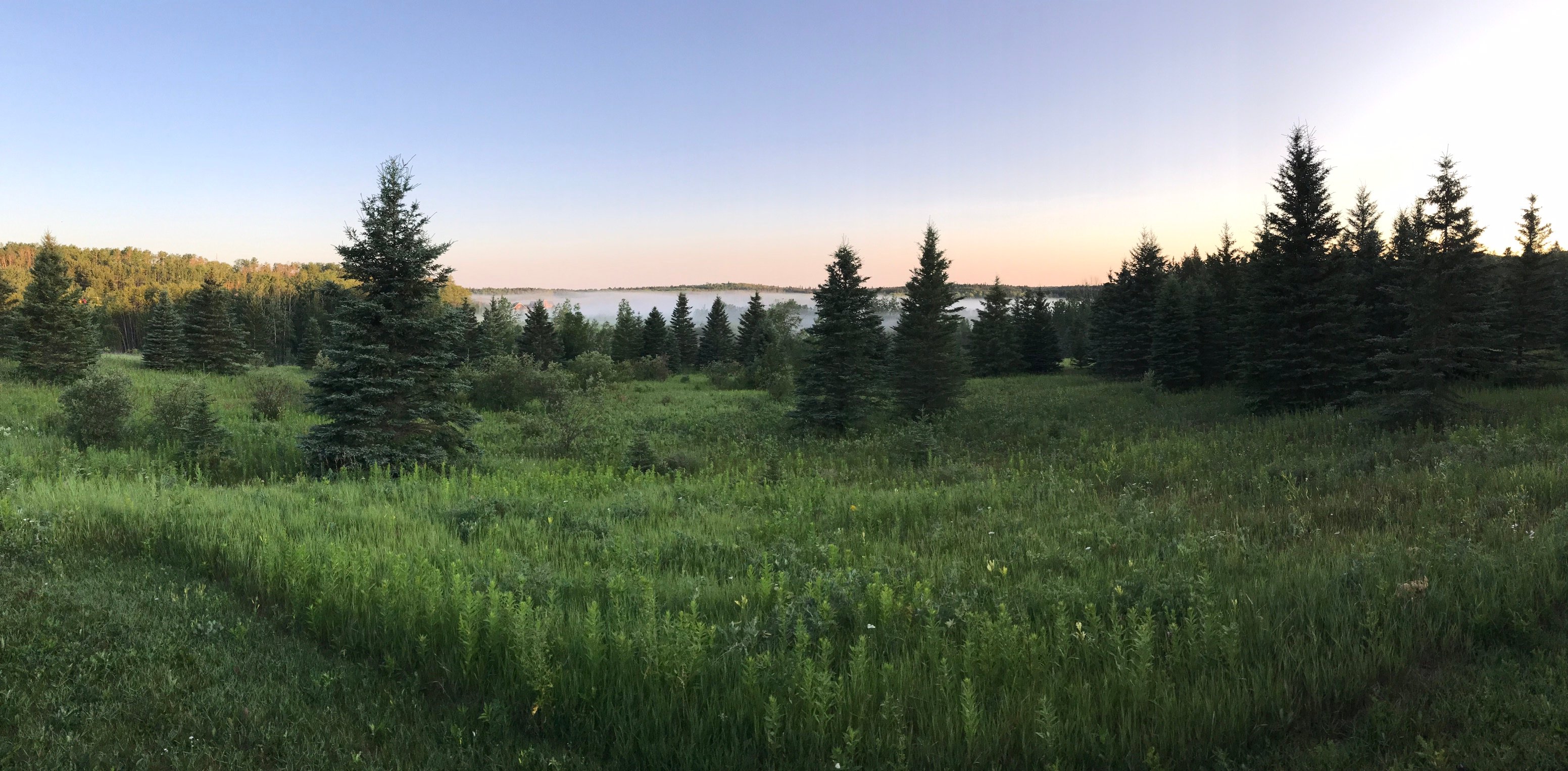 Riding Mountain National Park All You Need to Know BEFORE You Go