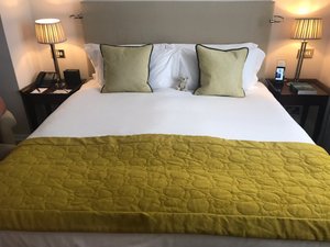 Room & Suite