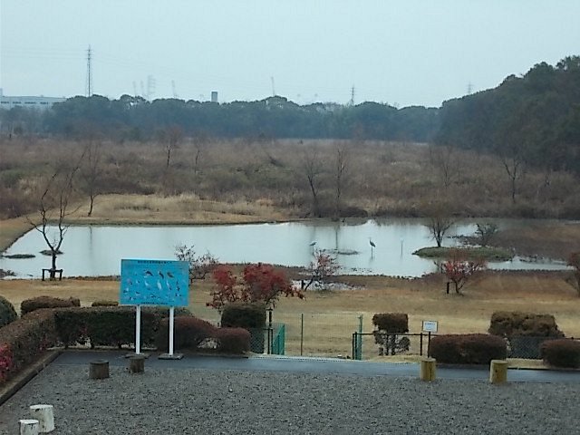 21年 弥富野鳥園 行く前に 見どころをチェック トリップアドバイザー