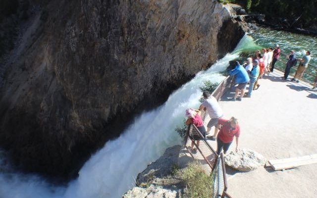 Lower Falls of Yellowstone