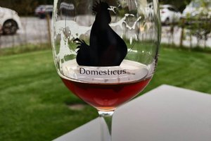Dranken