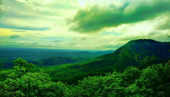AGUMBE GHAT (2025) All You Need to Know BEFORE You Go (with Photos) -  Tripadvisor