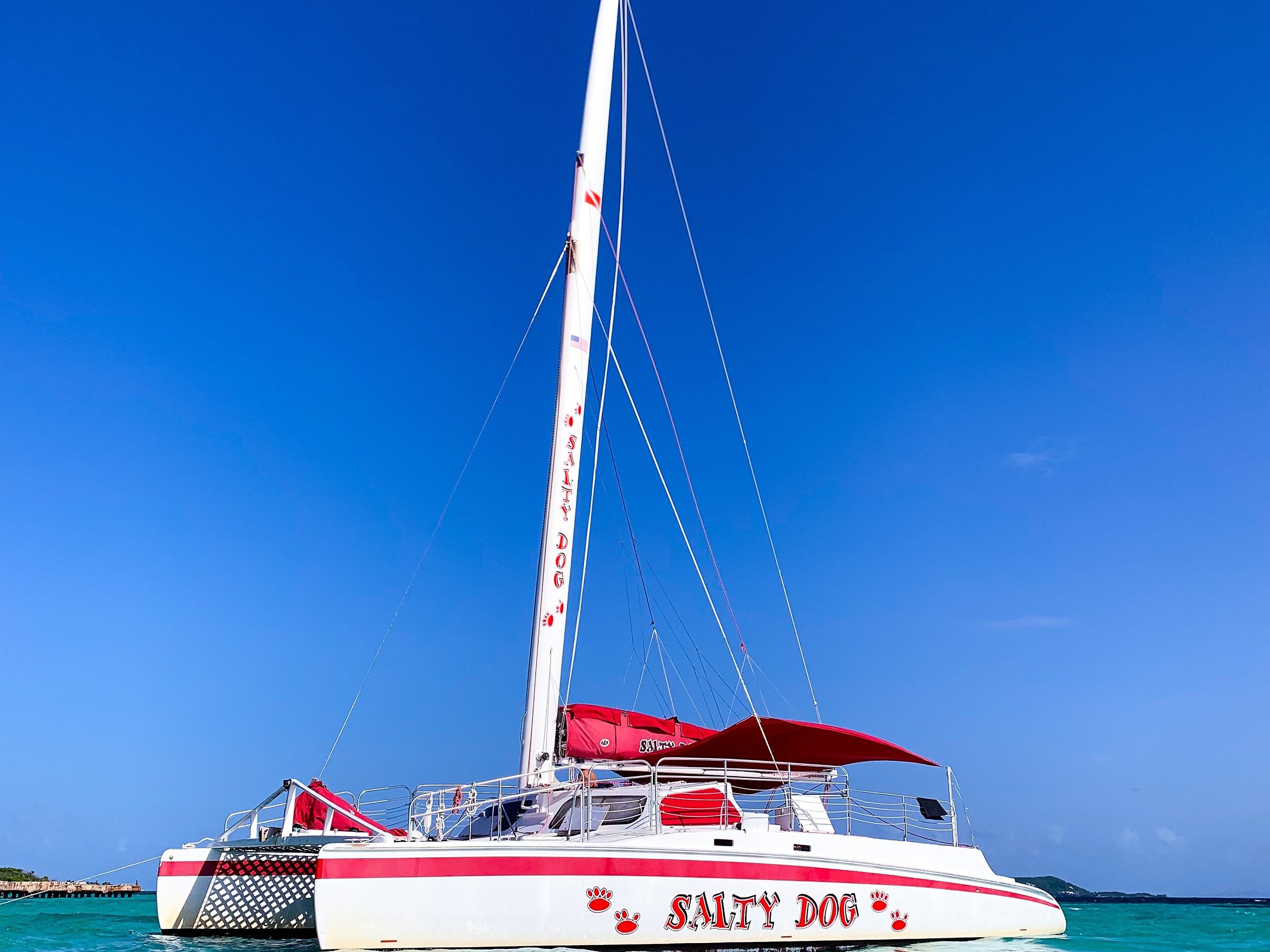 salty dog catamaran fajardo puerto rico