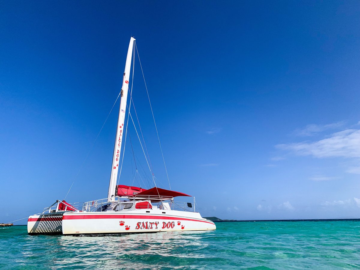 salty dog catamaran fajardo puerto rico