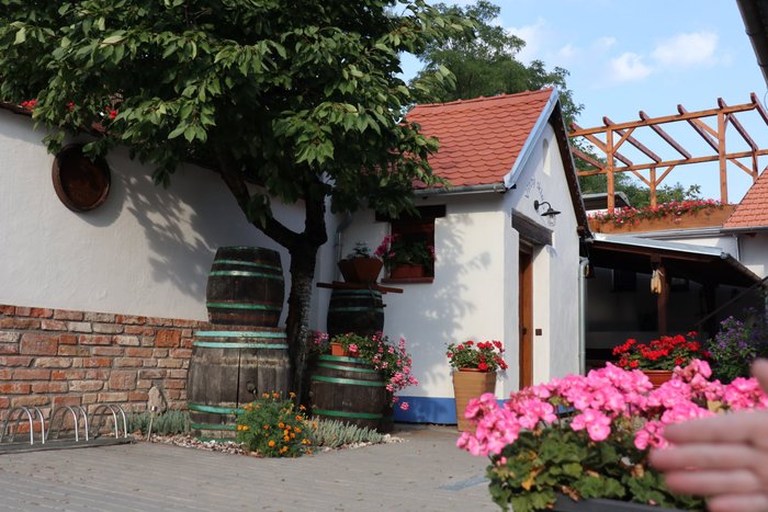 PENZION REVA - Prices & Guest house Reviews (Valtice, Czech Republic)