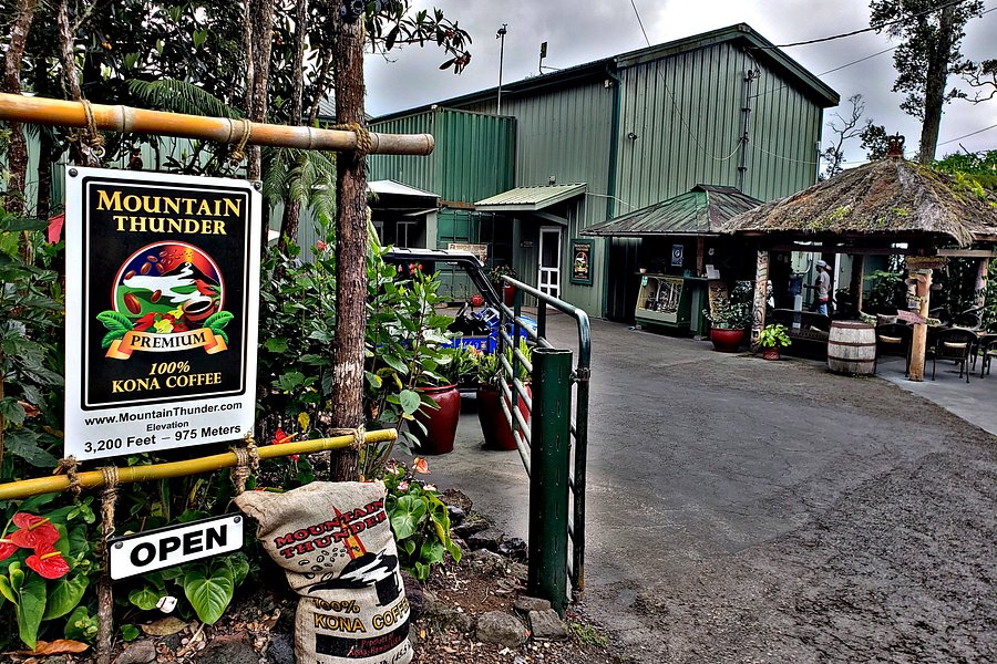 big island coffee plantation tours