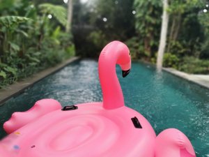 Pool & Beach