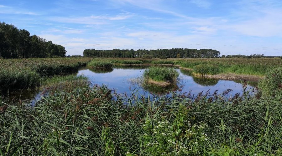 Lakenheath, England 2023: Best Places to Visit - Tripadvisor